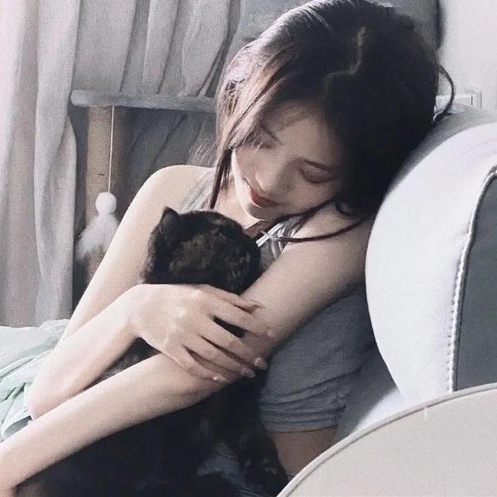 恋爱青春梦